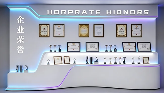 Verdaair Honorary Certificate(1)